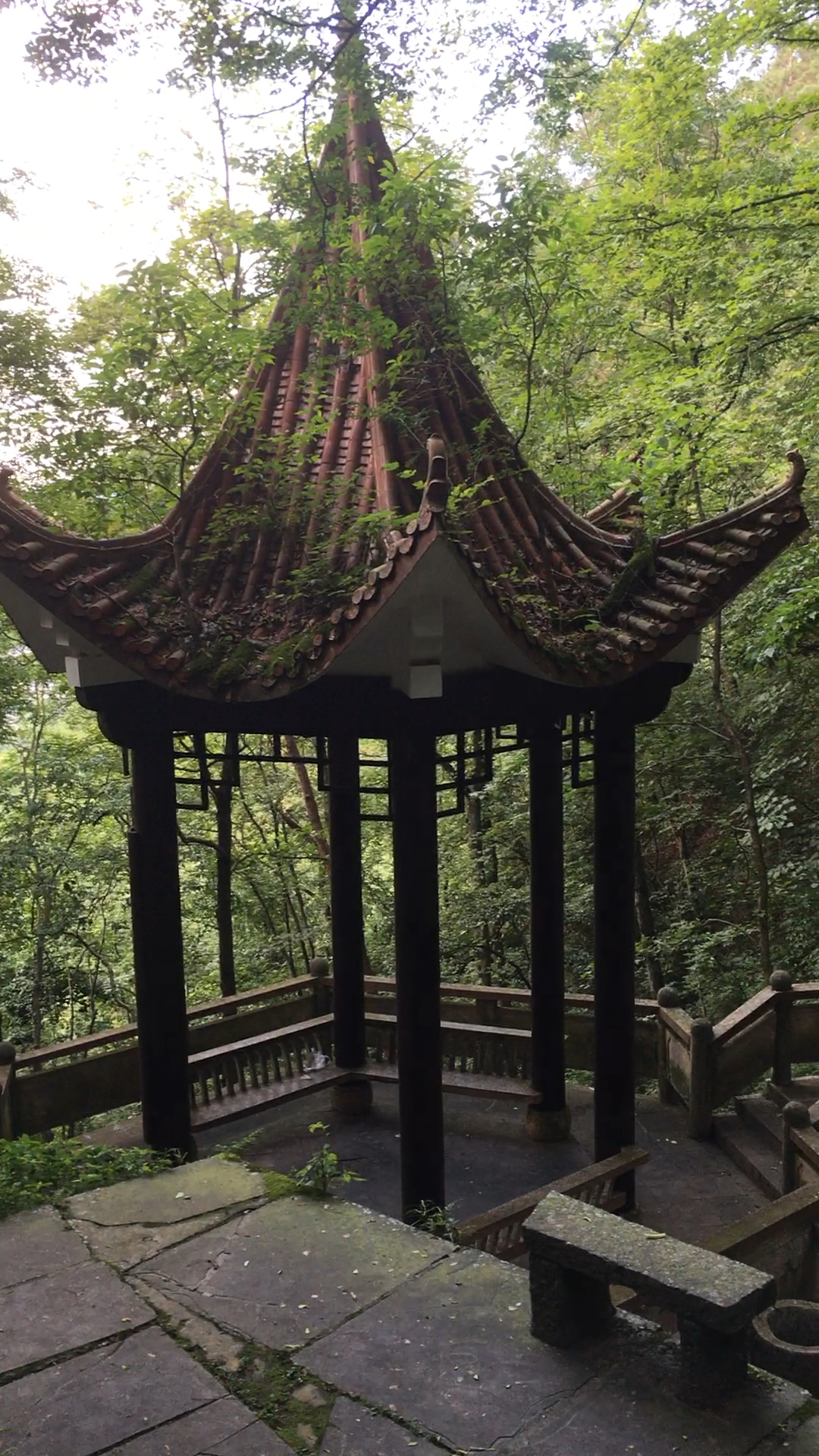 凉亭水榭,夏日里的清凉