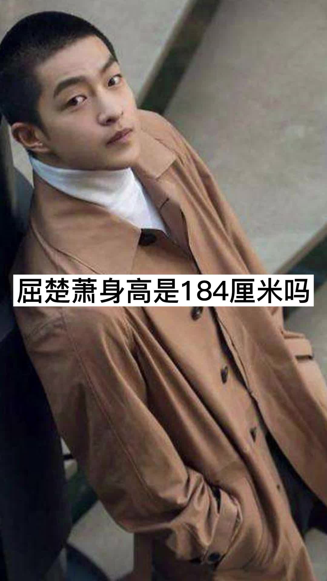 屈楚萧身高是184厘米吗你领悟了吗