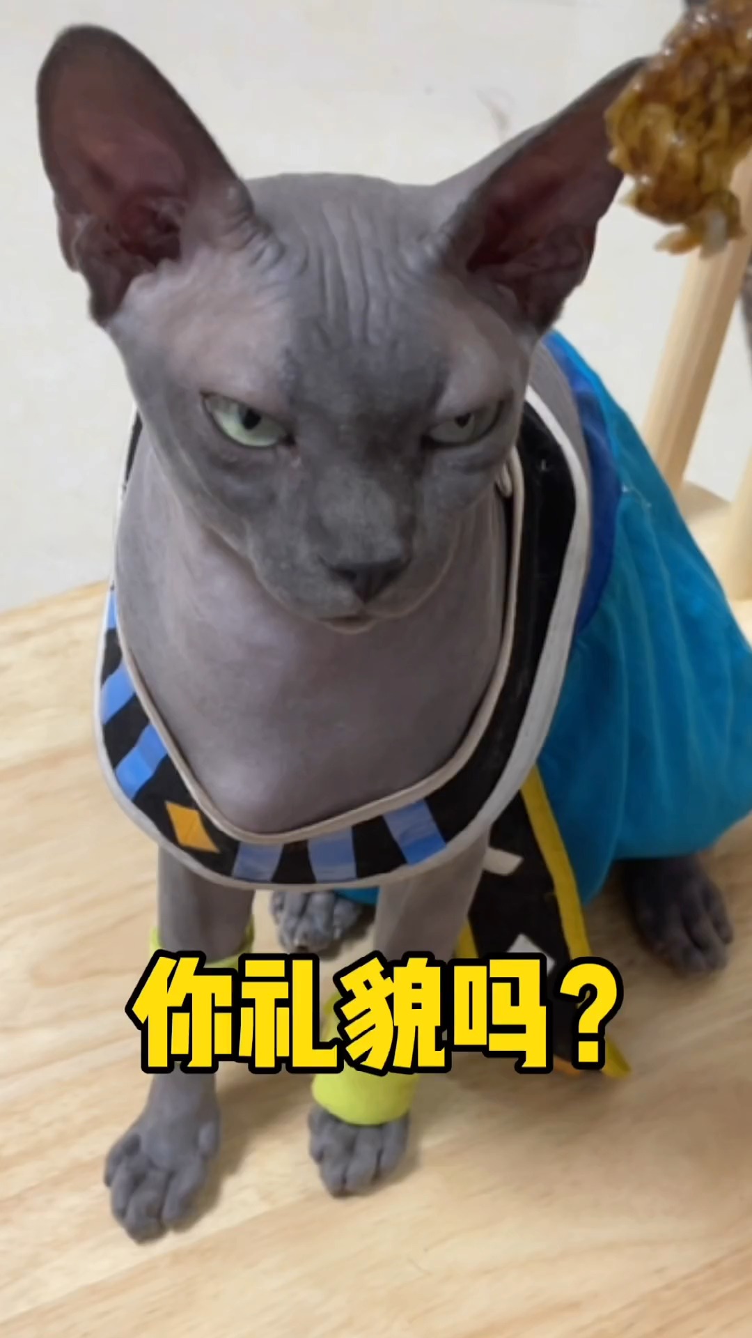 无毛猫#布鲁斯:这鱼加了盐我还能吃?