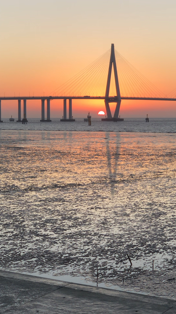 杭州湾跨海大桥看日出
