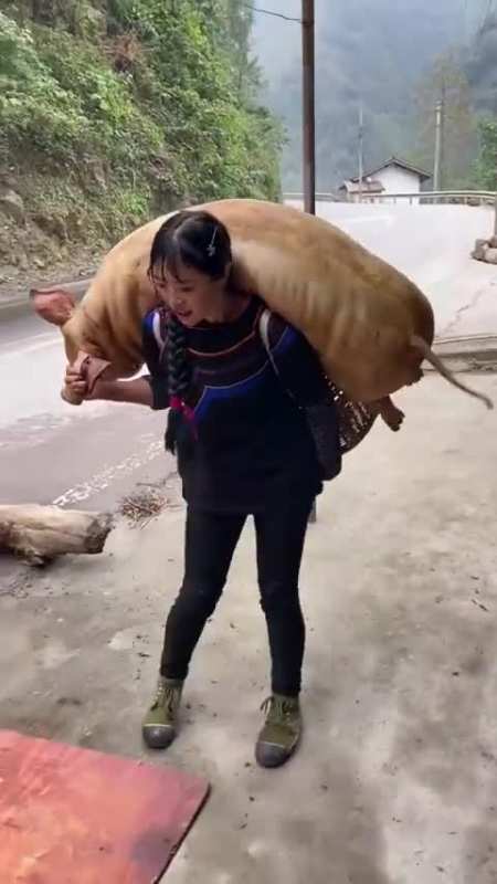 两个大男人真没用,让一个身材苗条的美女背猪