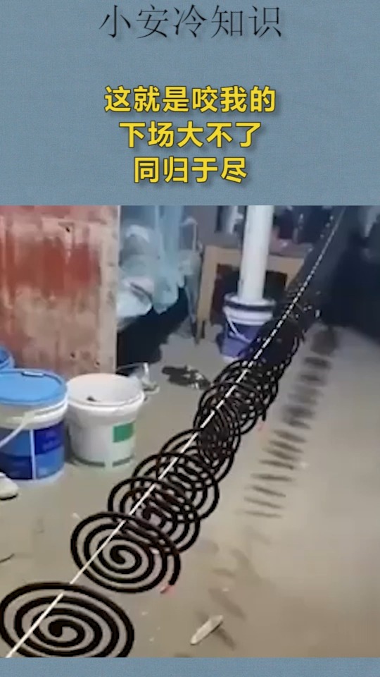 我要上热门#这就是咬我的下场,大不了同归于尽