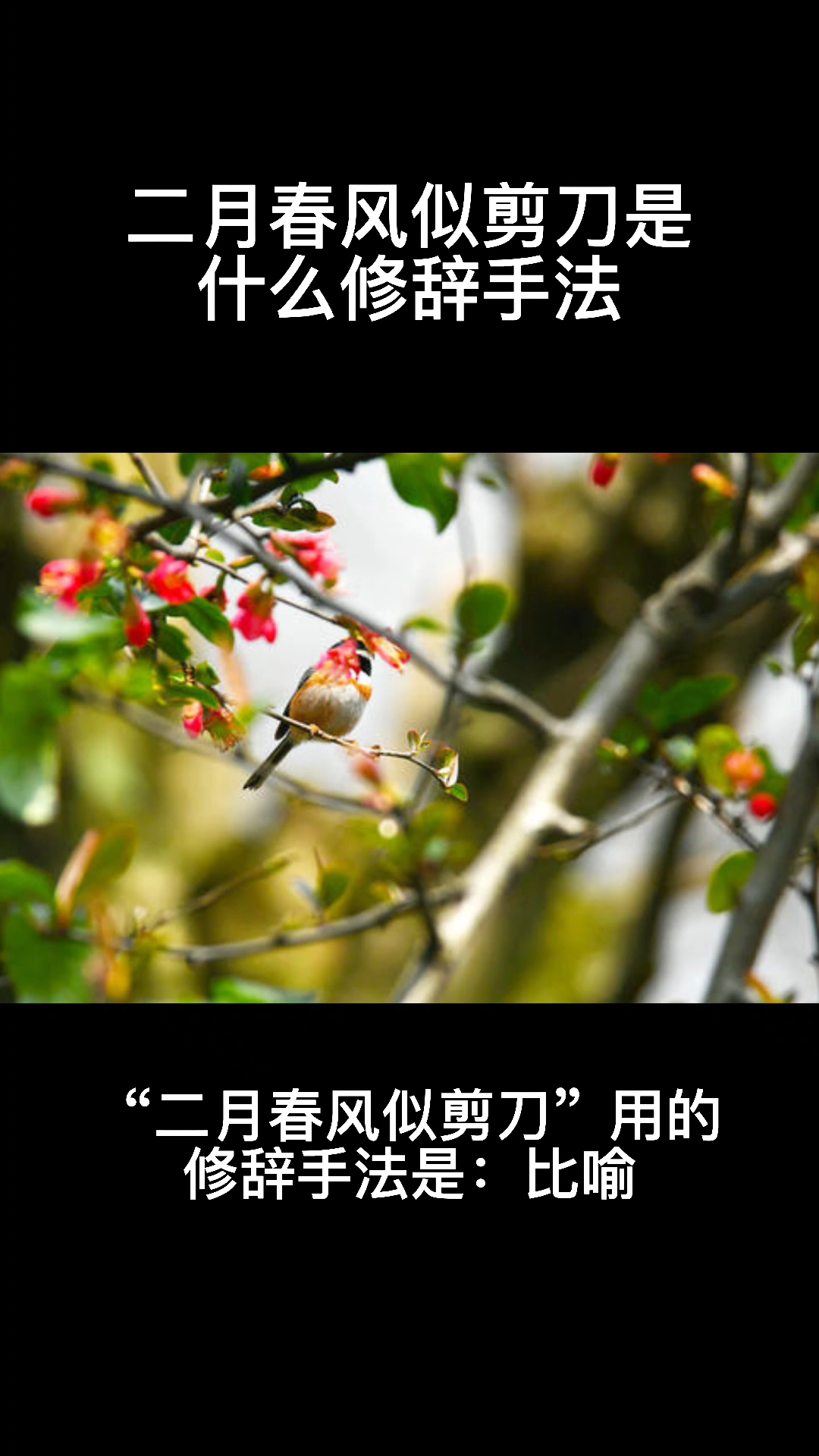 二月春风似剪刀是什么修辞手法?