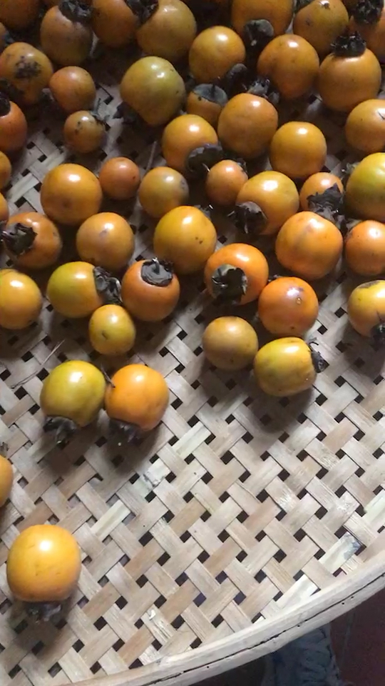 纯天然野生柿子