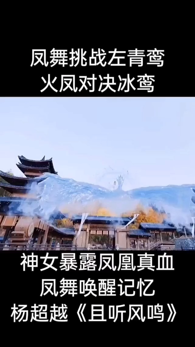 精彩影视#风舞挑战左青鸾,火凤对决冰鸾