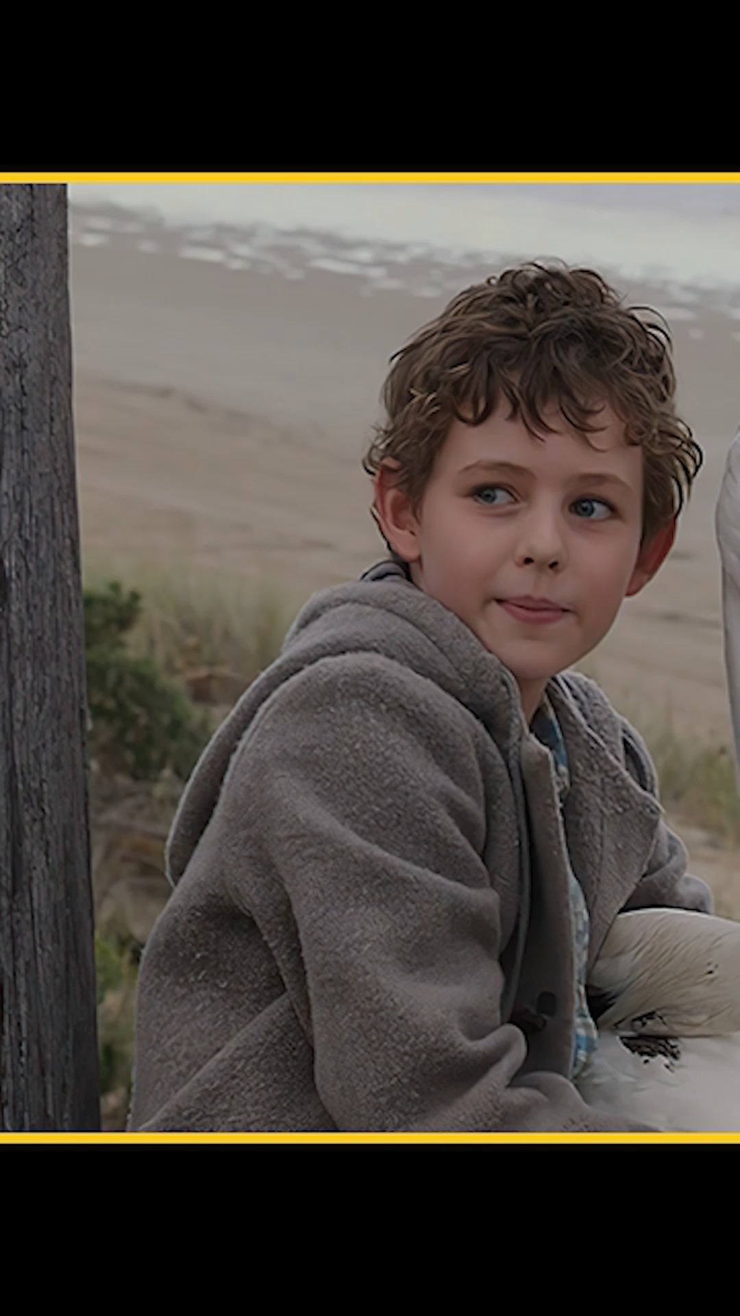 电影解说#男孩意外救下三只鹈鹕,鹈鹕长大后救下男孩的父亲《鹈鹕的