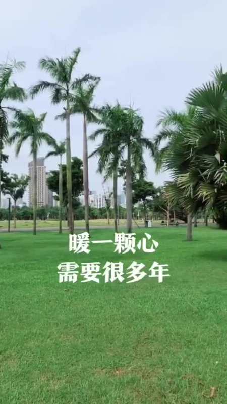 原谅一个人是很容易的但再一次的信任就没有那么容易了暖一颗心需要