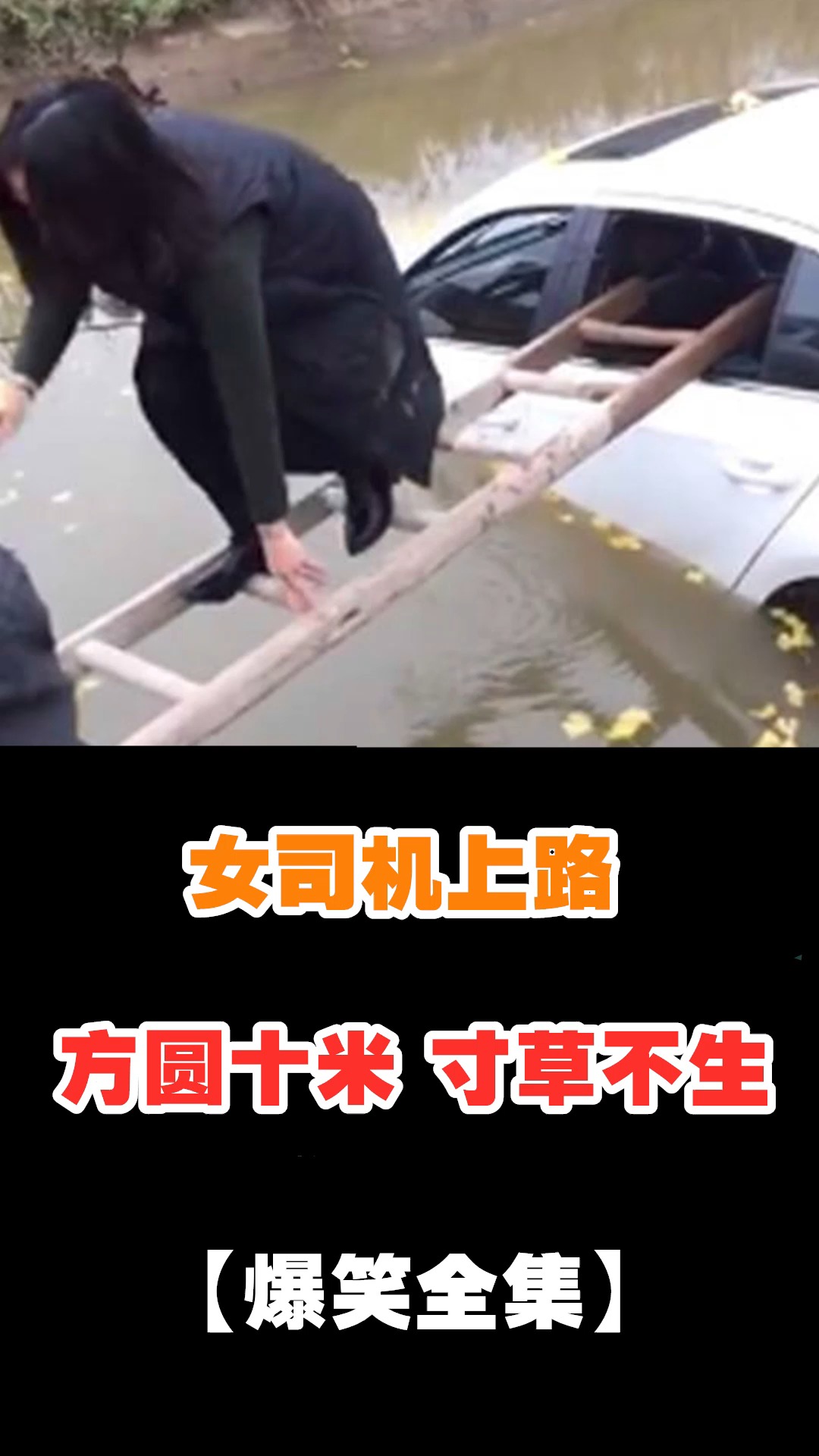 女司机#女司机上路,方圆十米 寸草不生!爆笑名场面.