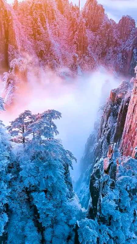 黄山雾凇,天地浑然一色,无愧于天下绝中之绝景,仿佛闯入人间仙境.