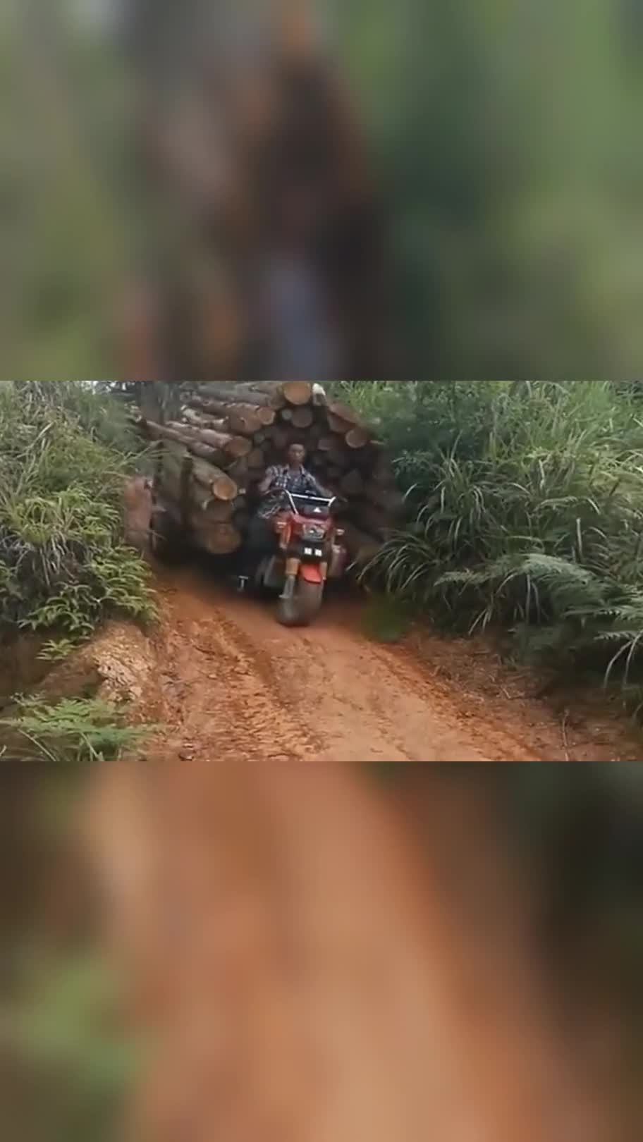 拉这么多木材,你有考虑过车的感受吗