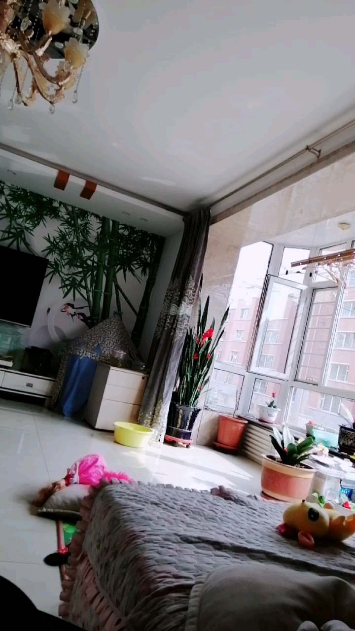 楼上开始装修了