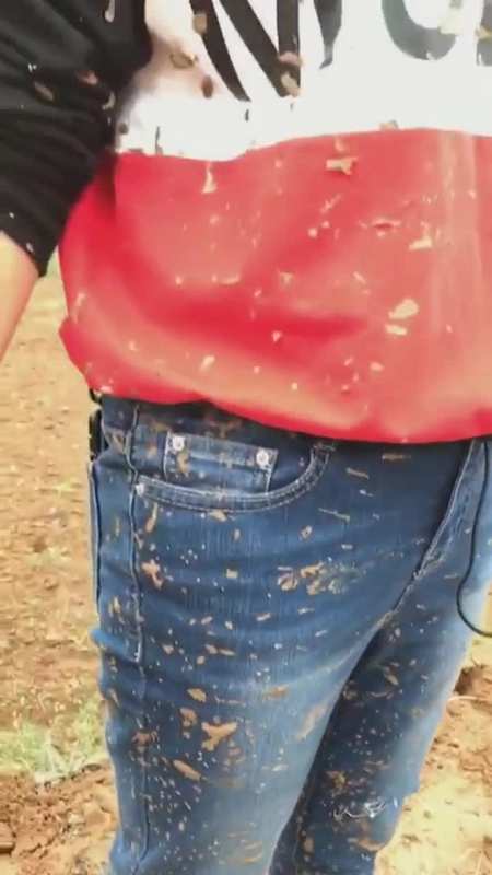 从小姐姐这一身的泥,和略带杀气的眼神中,我知道有人要挨打了