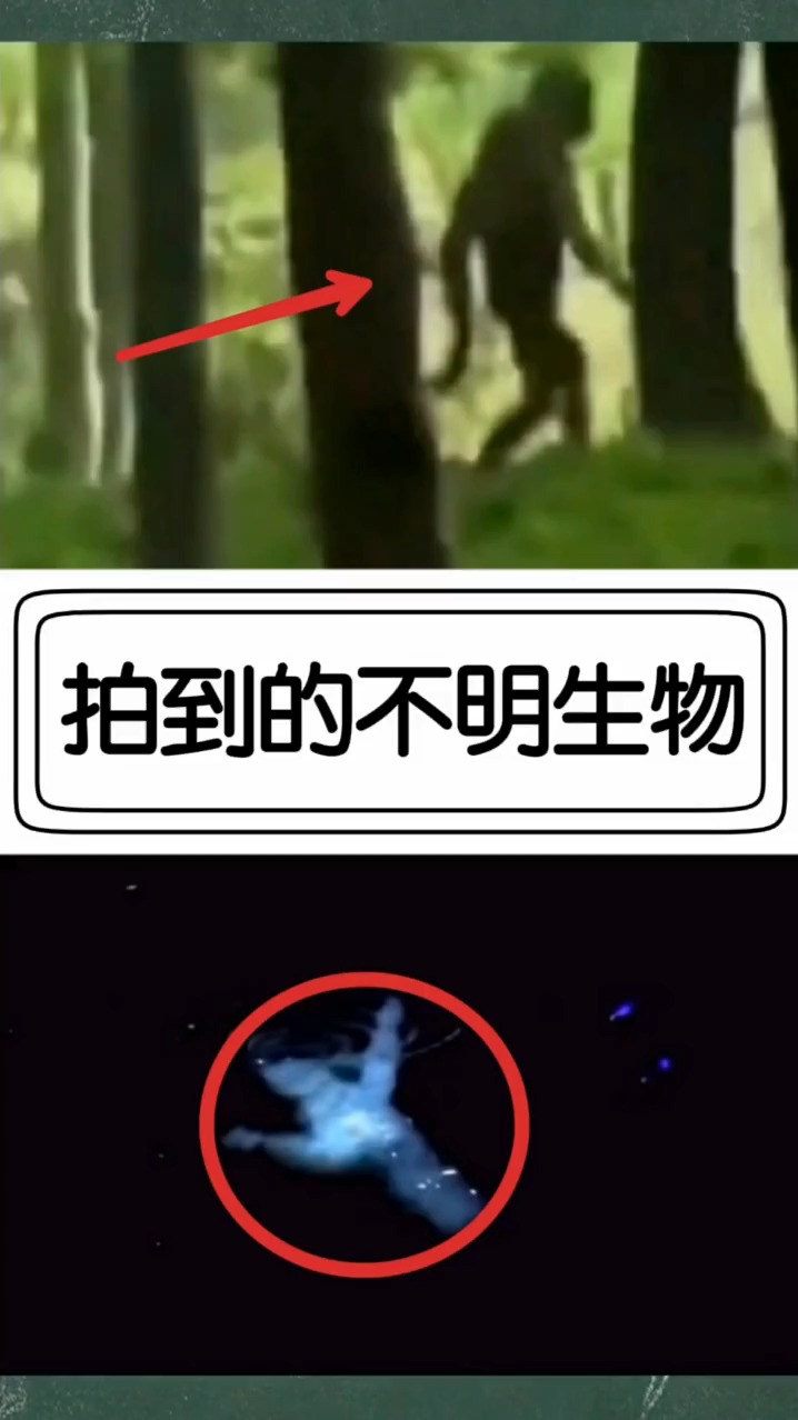奇闻趣事抢先看#拍到的不明生物