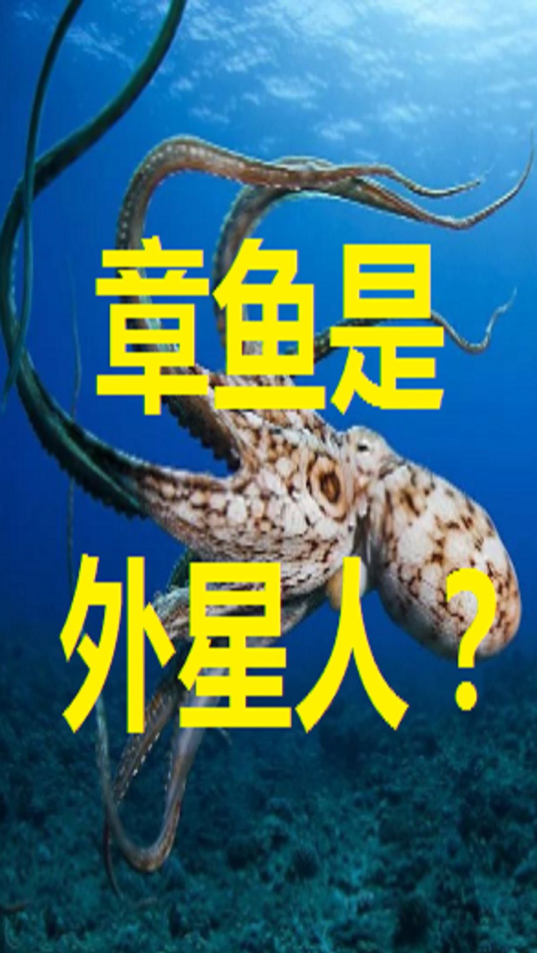 Octaman章鱼人图片