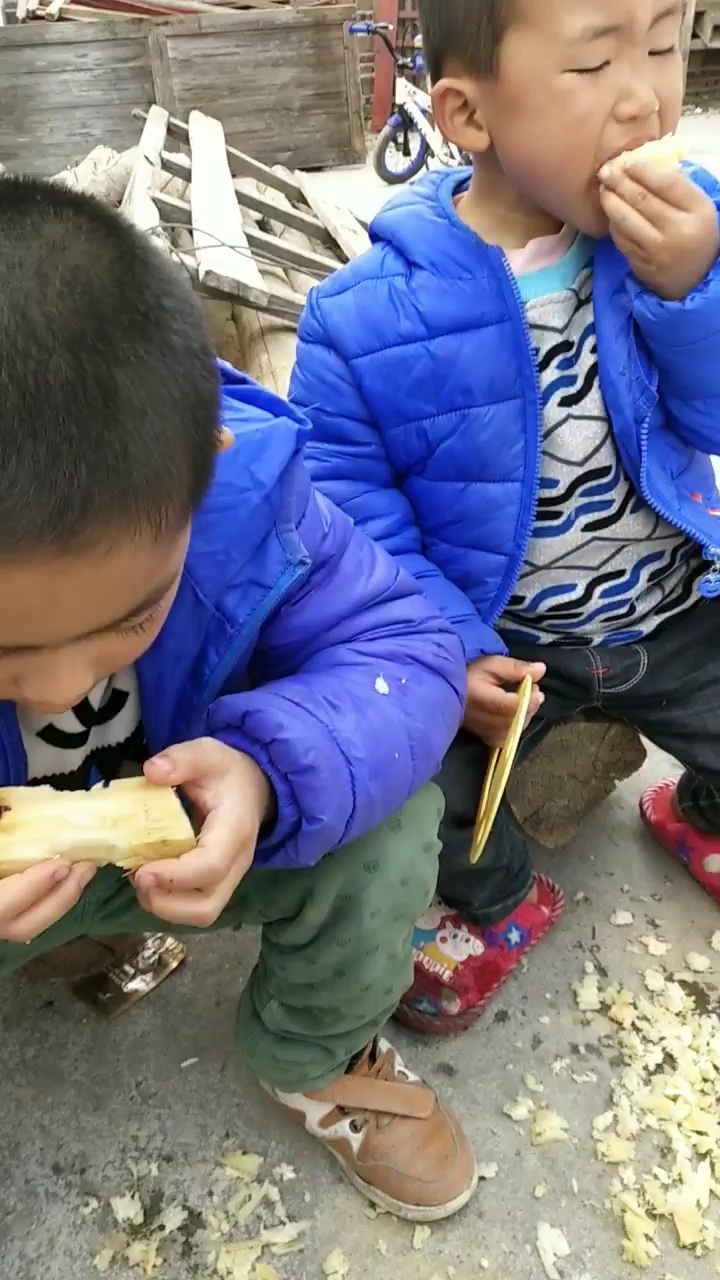 个个都是啃甘蔗的高手