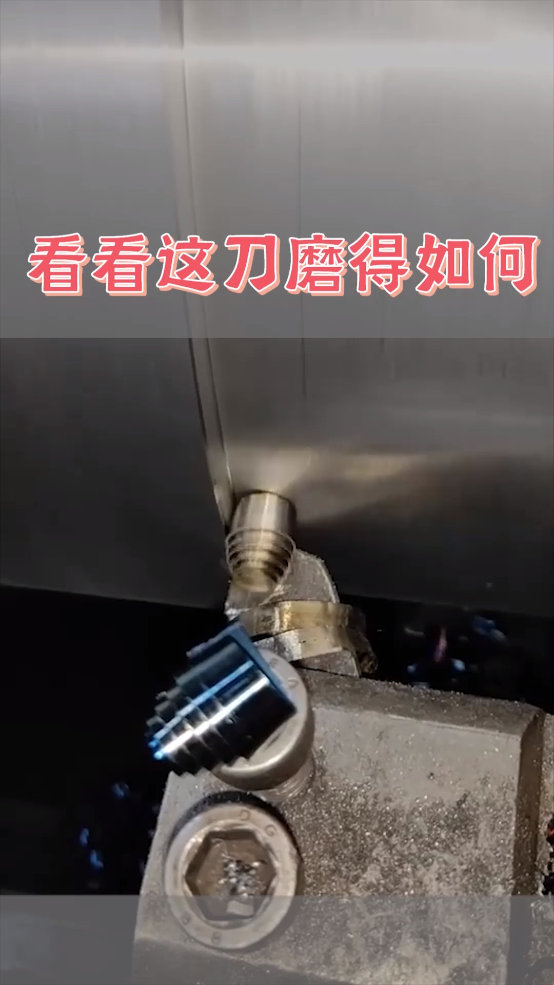 新进的大机器,这刀磨得怎么样,毫无瑕疵!