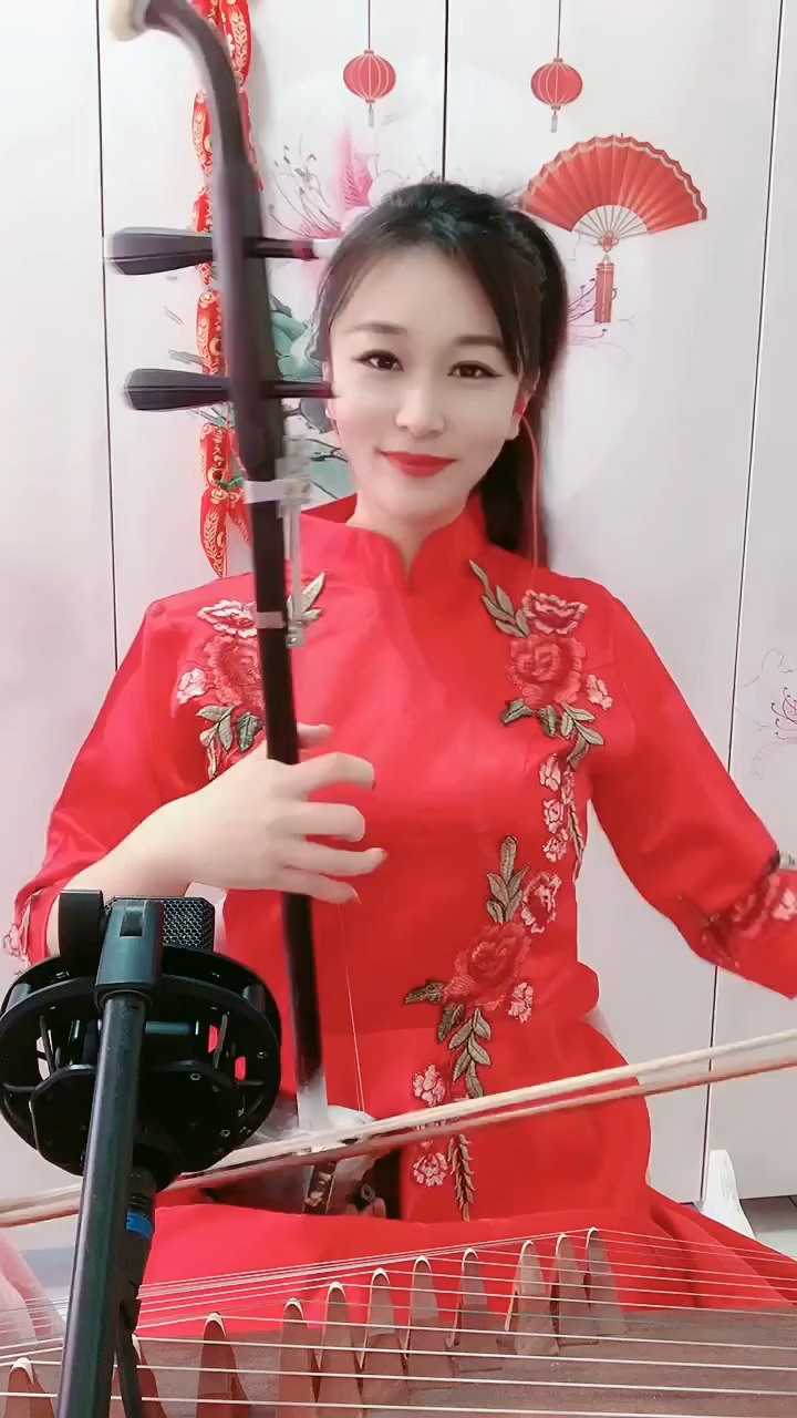 过年的味道国风古韵民乐艺术欣赏二胡独奏挂红灯恭祝虎年新春快乐