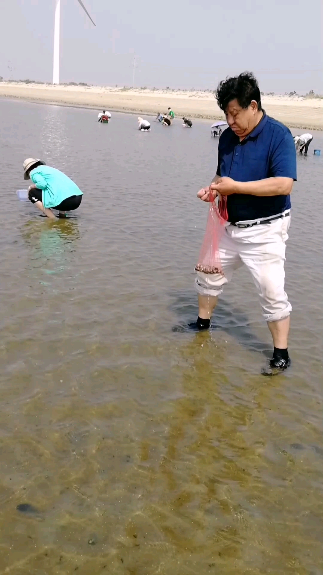 夏日旅行目的地#莱州湾虎头崖第一次体验赶海!