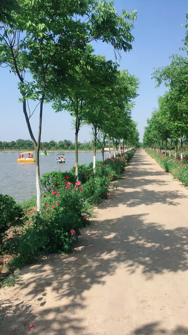 和县林海生态园