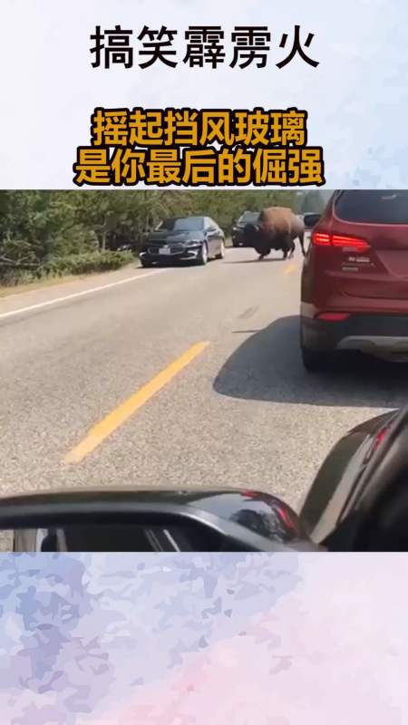 搞笑段子剧#摇起挡风玻璃 是你最后的倔强