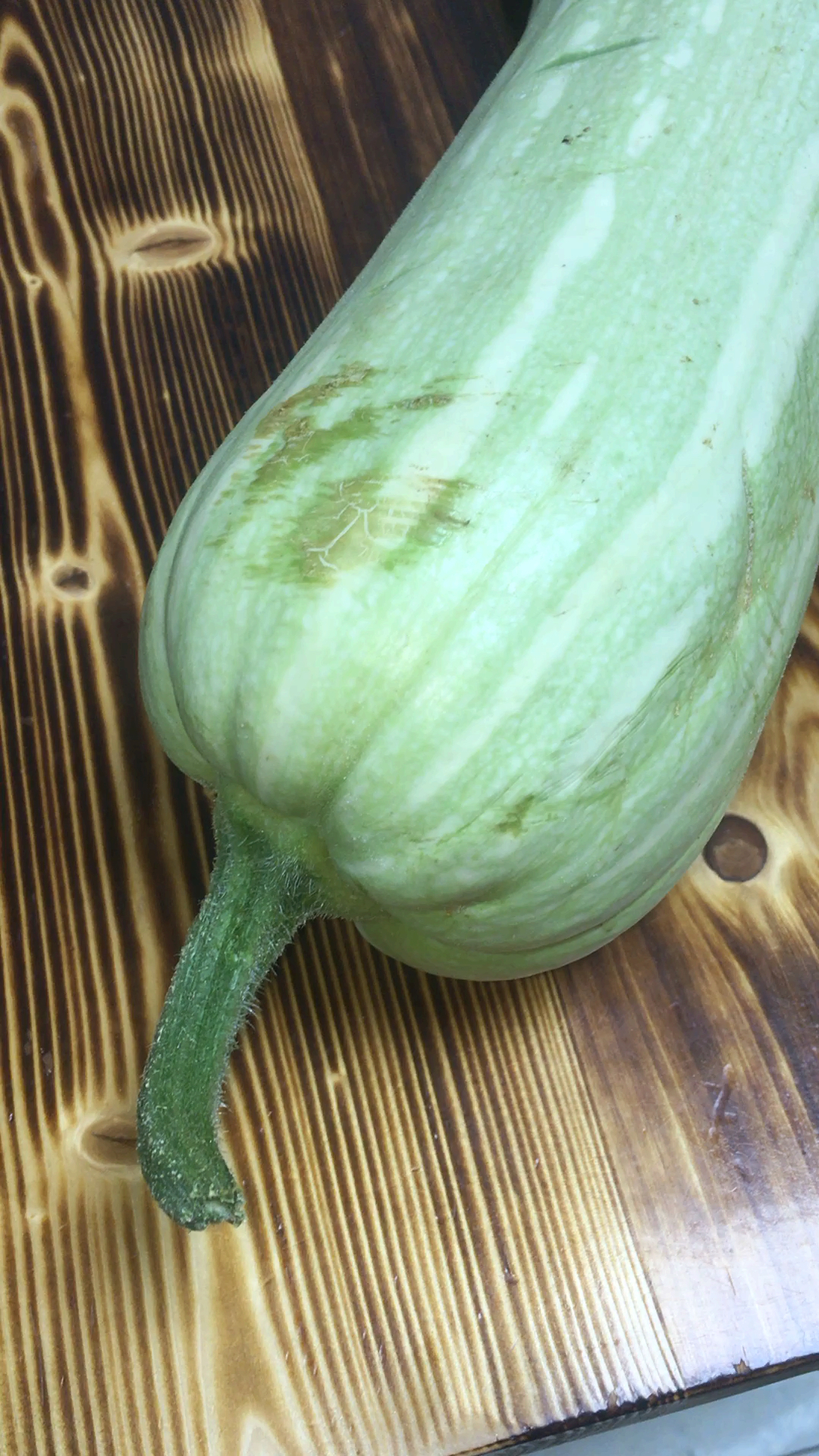 美食#这是个什么瓜谁能知道包包子是真香呀