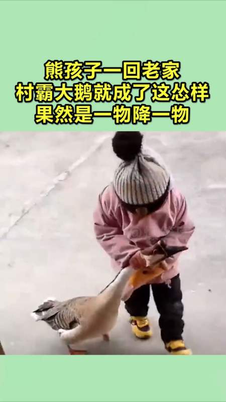 搞笑视频#熊孩子一回老家"村霸"大鹅就成了这怂样,果然是一物降一物