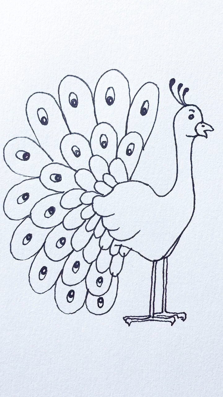 爸爸带娃#学画孔雀