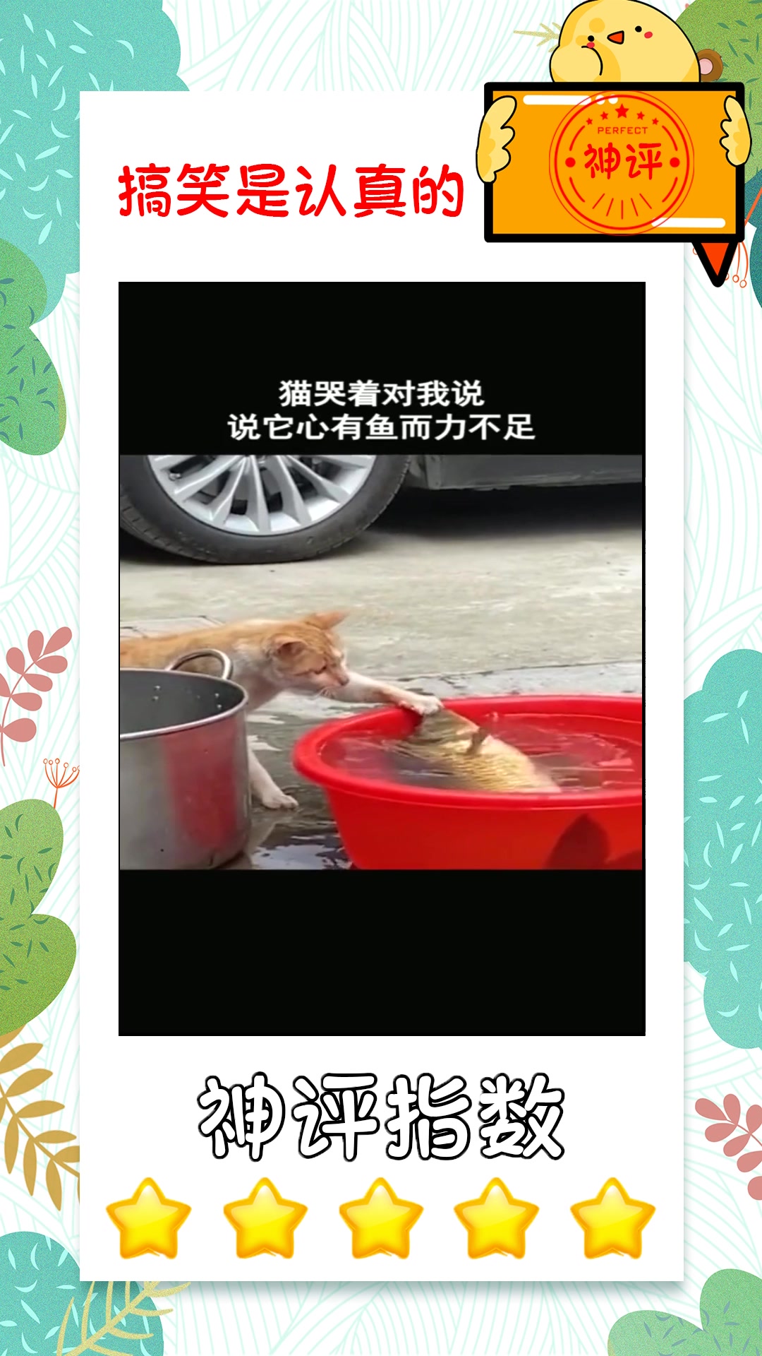 搞笑段子#小猫想吃大鱼,但心有余而力不足,这结果可想而知!