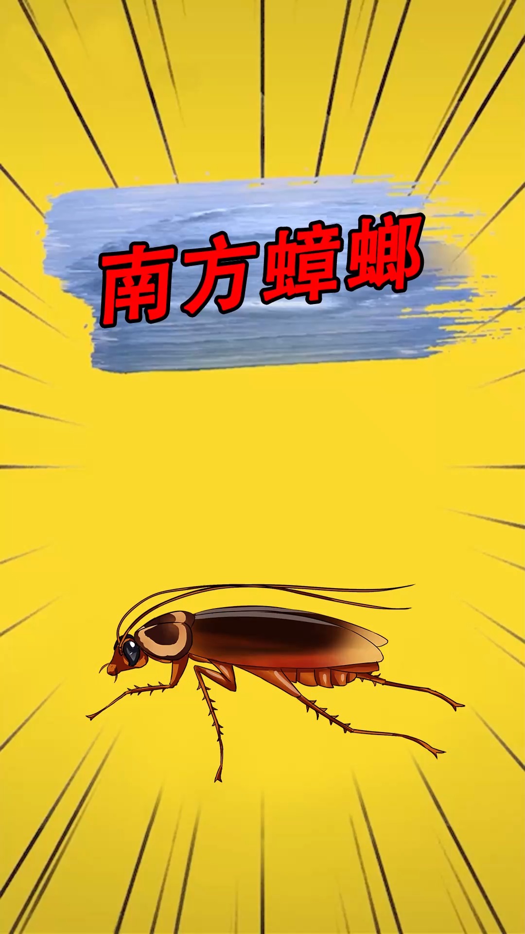 为什么南方蟑螂比北方蟑螂大很多?