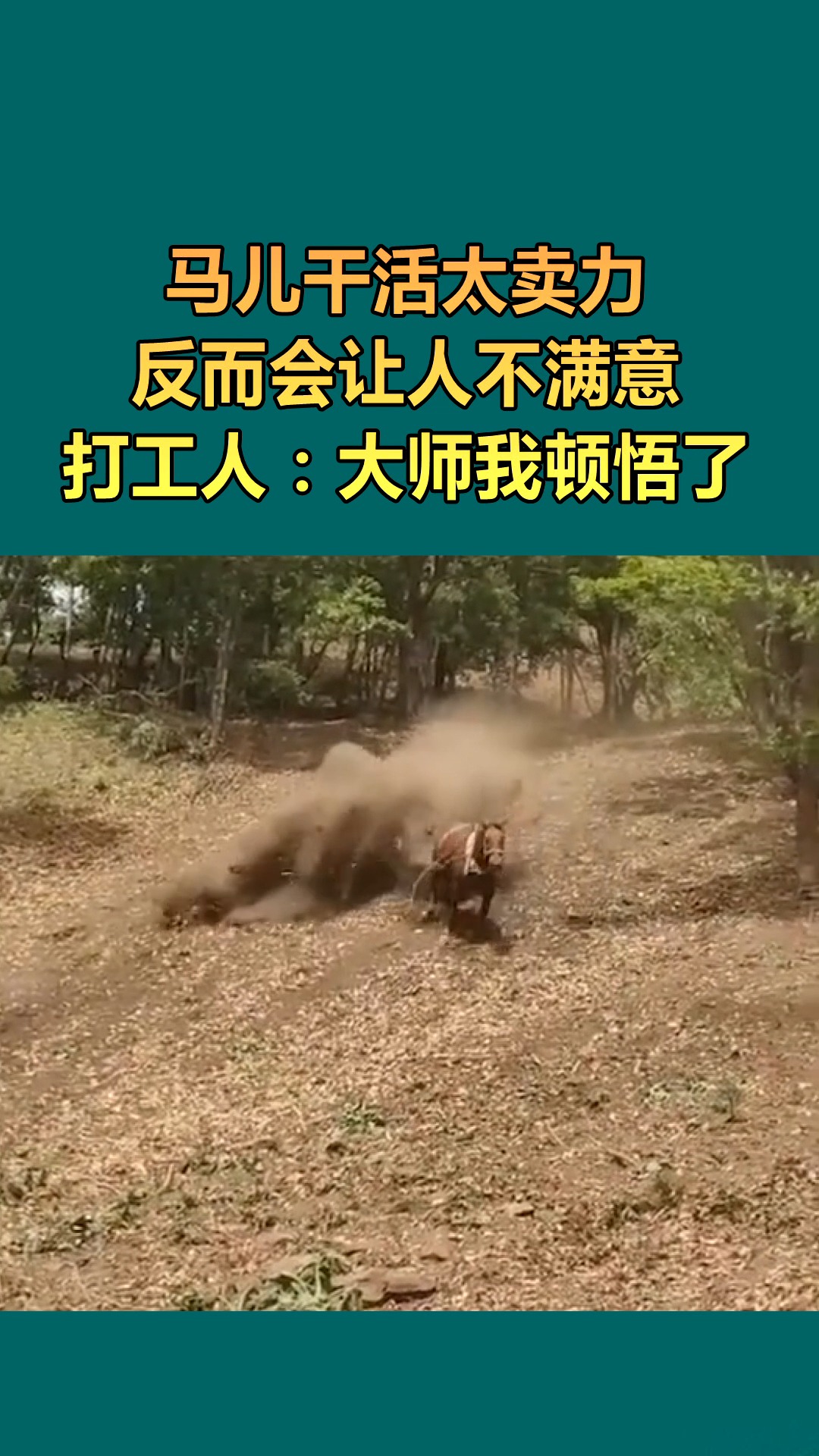 我要上热门#马儿干活卖力过头,画面太搞笑了