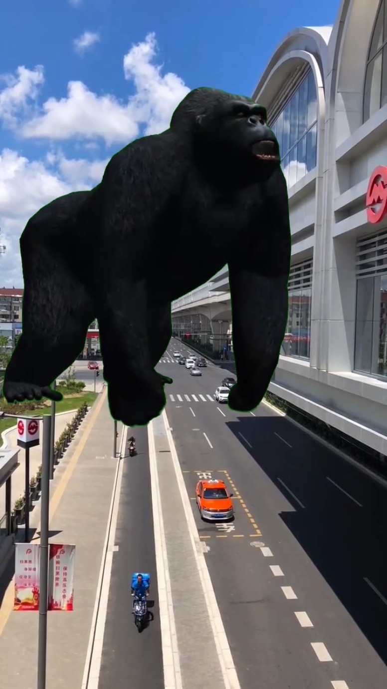 动物园的大猩猩跑出来了!