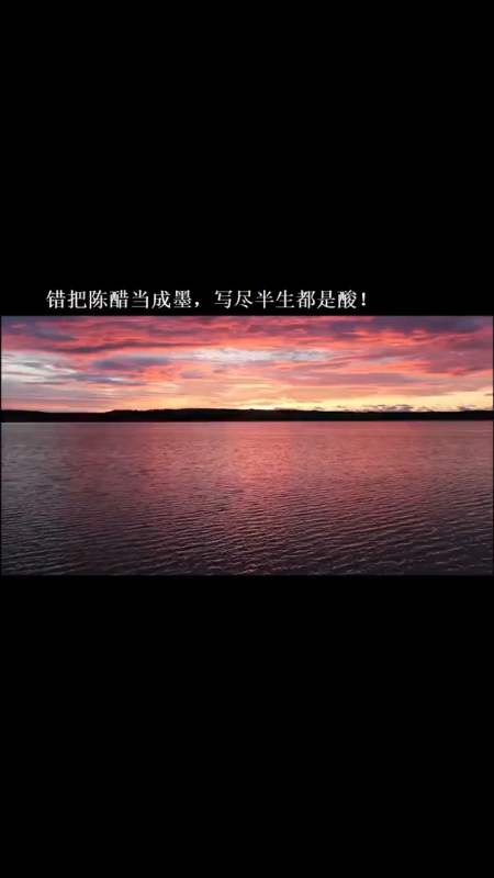 扎心情感语录#错把陈醋当成墨,写尽半生都是酸!