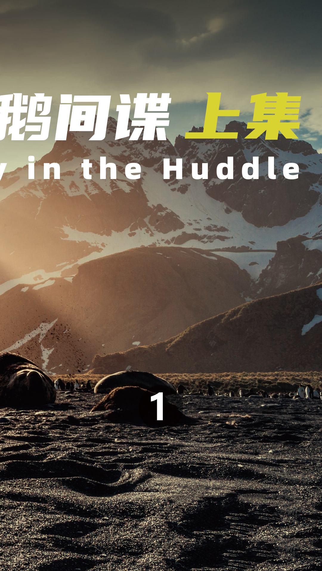 影视解说高分纪录片企鹅群里有特务