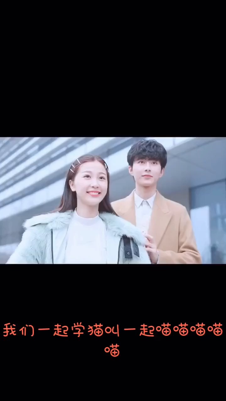 虞书欣李歌洋的学猫叫太可爱了