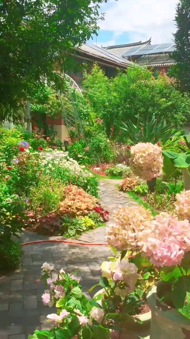 梦境花园,大美丽江,好想时间就在此刻停驻