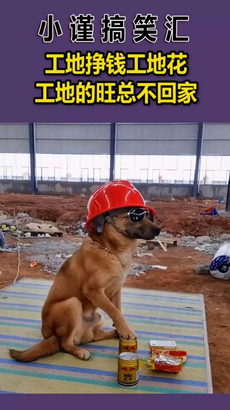 我要上热门#工地挣前工地花,工地的旺总不回家