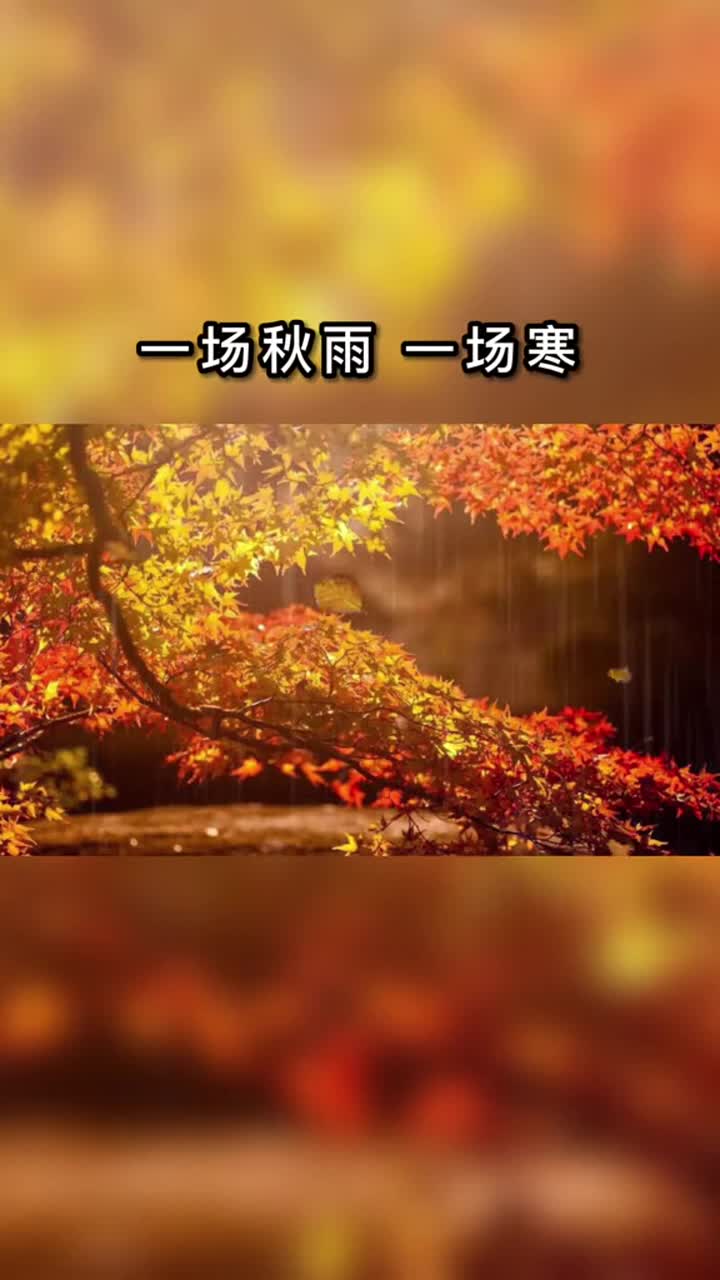 深秋已过冬将至,一场秋雨一场寒,愿所有的朋友,天冷有衣穿,心寒有人暖