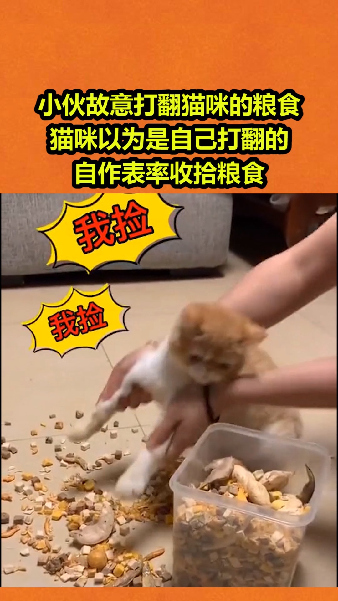 搞笑段子剧#小伙故意打翻猫咪的粮食,猫咪以为是自己