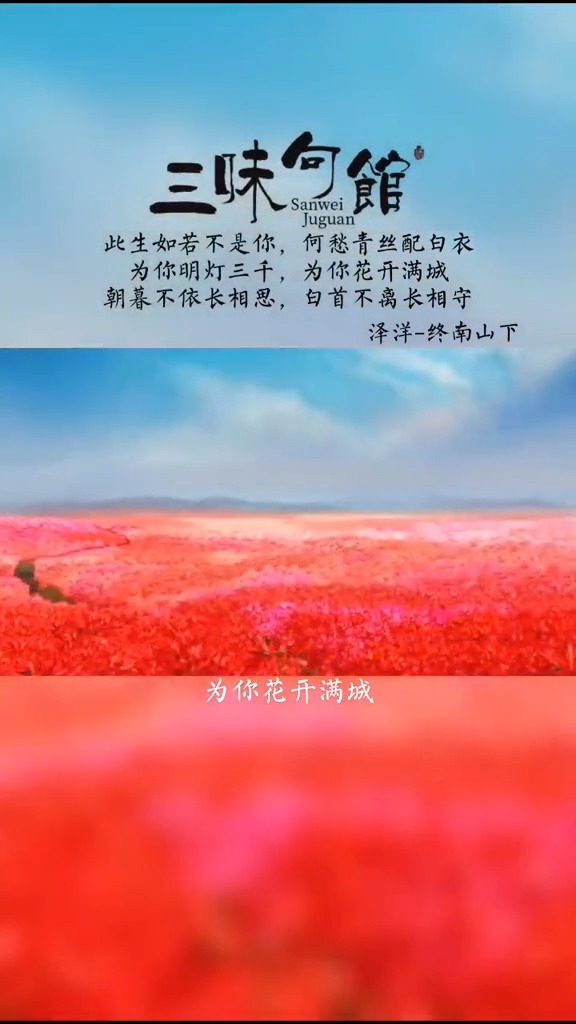 为你明灯三千,为你花开满城