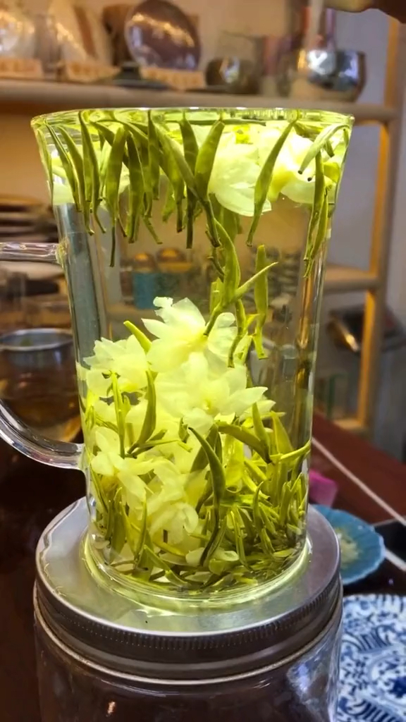 茶叶养生#茉莉兰妃