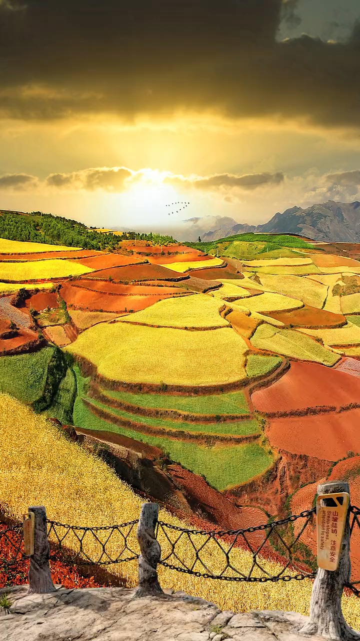 一定是上帝不小心打翻了调色盘,才造就了这般五彩斑斓的梯田,每个角度