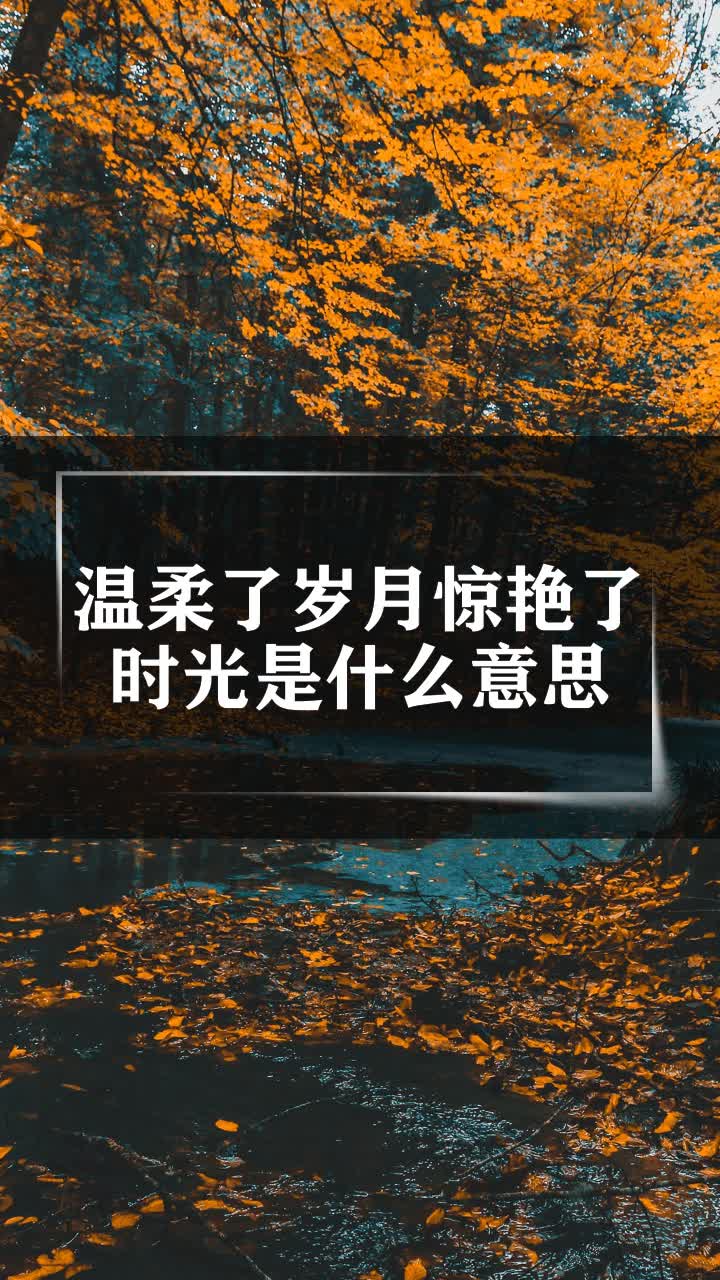 温柔了岁月惊艳了时光是什么意思