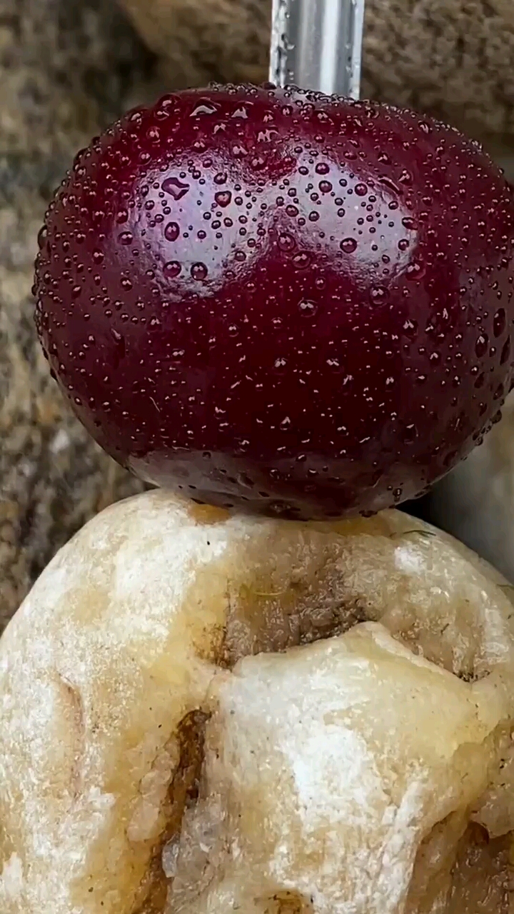 红的发黑的樱桃