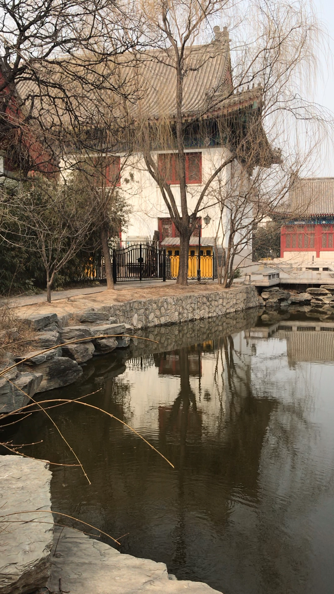 带孩子逛北大红湖,感受著名学府的底蕴.