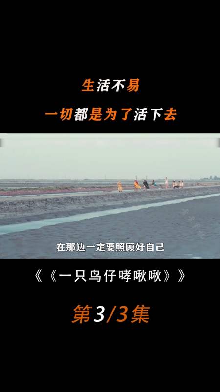 生活不易,一切都是为了活着,希望生活能对我们好一些,台湾剧情