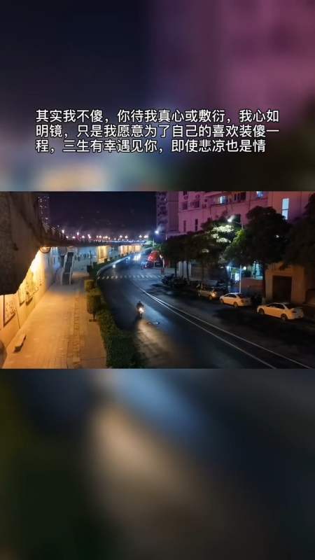 其实我不傻,你待我真心或敷衍我心如明镜,只是我愿意为了自己的喜欢