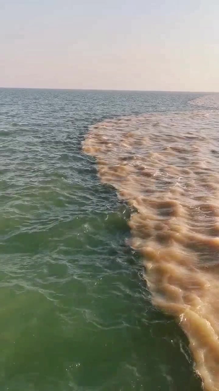 黄河入海口河水不犯海水水火不相容