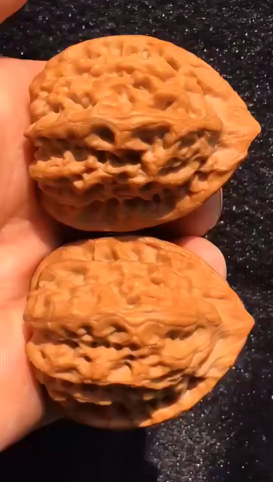 文玩核桃#蓟县野生佛肚