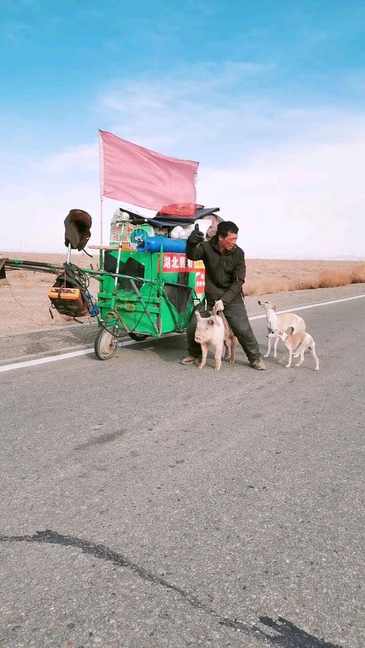 自娱自乐,骑猪逗狗