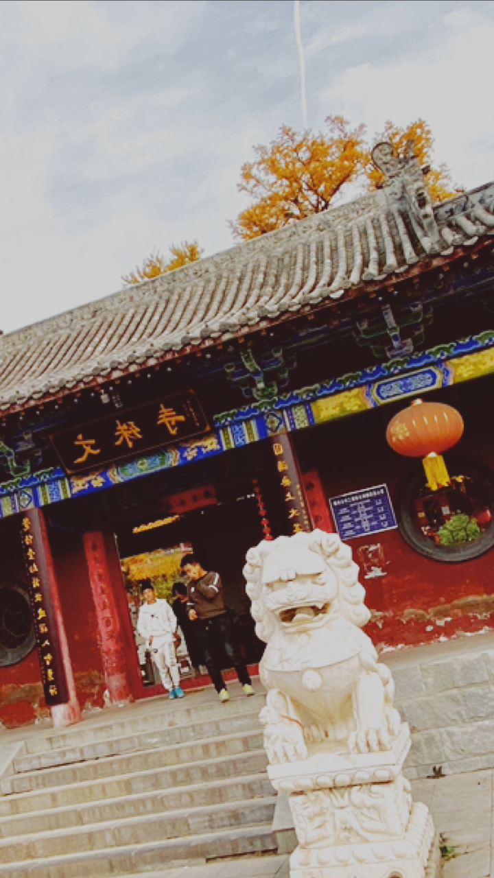 鲁山·四棵树·文殊寺·千年银杏